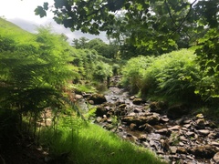 IMG 0773