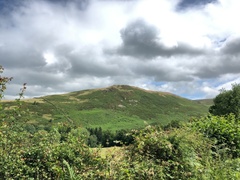 IMG 0774