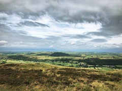 IMG 0781