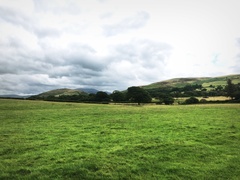 IMG 0797