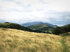 IMG 0802