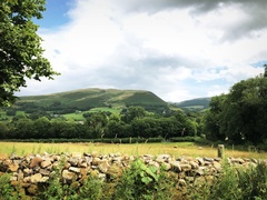 IMG 0811
