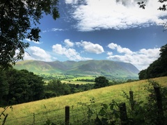 IMG 0813