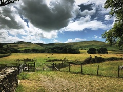 IMG 0821