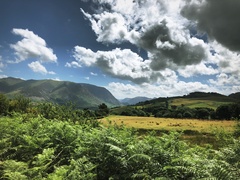 IMG 0823
