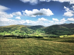 IMG 0826