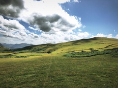 IMG 0828