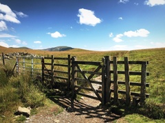 IMG 0848