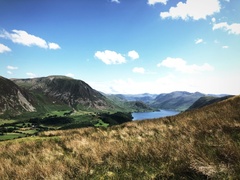 IMG 0859