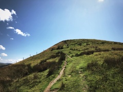 IMG 0861
