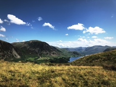 IMG 0863