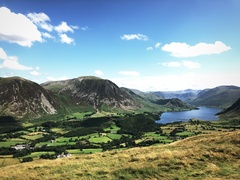 IMG 0871
