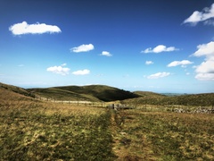 IMG 0881