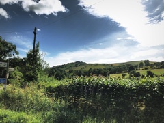 IMG 0900