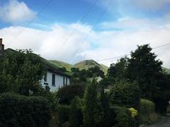 IMG 0925