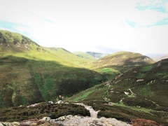 IMG 0945