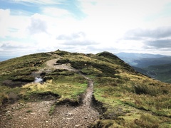 IMG 0974