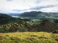 IMG 0976