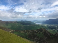 IMG 0990
