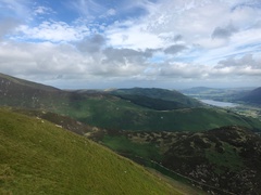 IMG 0991