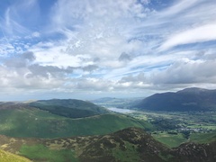 IMG 0994
